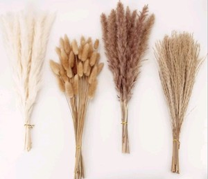 100 Stems Dried Pampas Grass Decor - Brand New