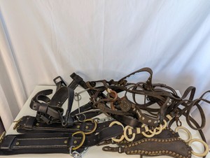Collection of vintage and modern leather horse harness gear