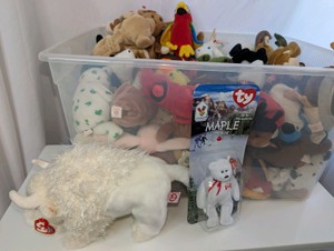 Huge collection of Early 1990s Beanie Babies, all with heart hang tags still attached- 1999 McDonalds Teenie Beanie Baby Maple the Bear and 2000 Roam the White Buffalo