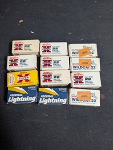 Mixed Lot .22 Rim Fire Cartridges