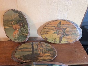 Rustic Wildlife Bark-Edged Wood Plaque Set (3)