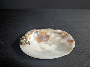 Mother of Pearl Shell Dish With Floral Accent