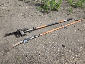 Remington RM1015P Electric Pole Saw and Manual Pruning Saw