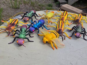 Giant Colorful Insect Models