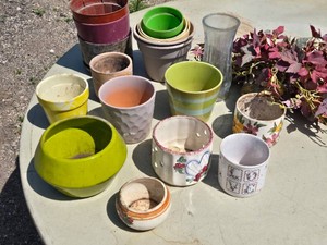 Collection of Assorted Decorative Plant Pots