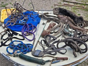 Assorted Horse Tack and Equipment including Halters, Lead Ropes, and Saddle Pads