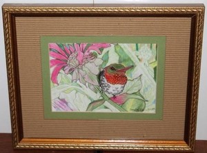 Sandra Geer Hummingbird Sketch