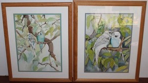 Sandra Geer Parakeet Paintings