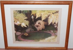 Sandra Geer Cat &amp Cockatiel Photograph Print
