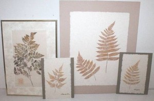Fern Botanical Art