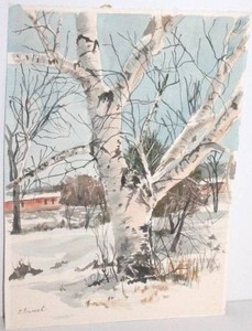 E. Sweet Birch Tree Watercolor