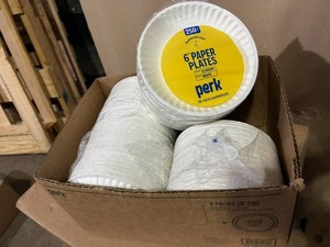 6 Paper Plates