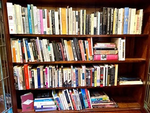 Large Book Lot - Assorted Fiction, Essays & Nonfiction