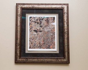 Craig Blacklock Framed Photograph