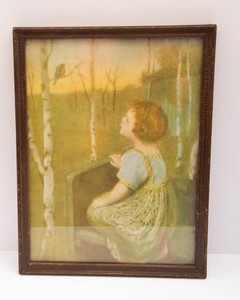 Spring Song by Simon Glcklich Framed Print