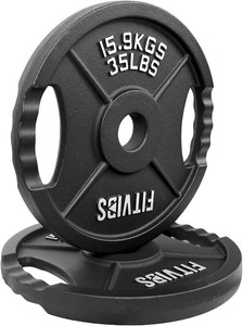 Fitvids 2 Cast Iron Plate Pair 35LB