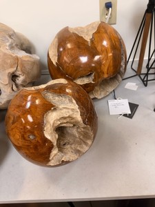 Uttermost R17726 Natural Teak Root Wood Sculptures Dcor Set of 2