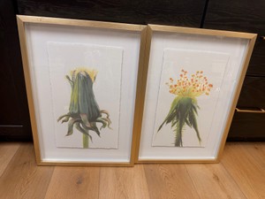 Set of 2 Framed Botanical Floral Prints  Gold Frames  Modern Wall Art