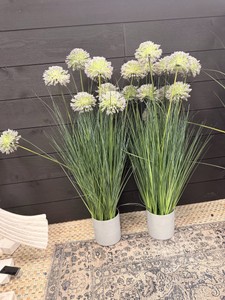 Artificial Allium Grass Floor Plants in Modern Gray Planters  Set of 2
