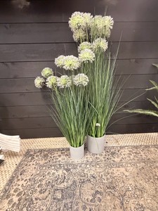 Artificial Allium Grass Floor Plants in Gray Planters  Assorted Sizes  Set of 2