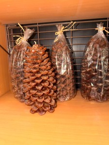 Oversized Pine Cone Candles  Rustic Woodland Dcor  Set of 4