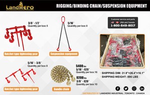 New 2026 Unused Landhero LHR-LS45 Ratchet Binders, Transport Chains & Rigging Equipment Set