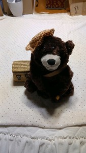 Bear