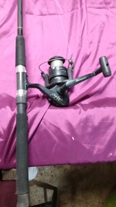 Shakespeare Alpha graphite rod and spinning real combo