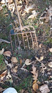 Vintage 7 tine spear