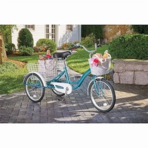 $449 Adult Tricycle with Two Baskets
