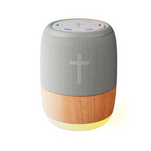 My MoodBible, Portable, One Touch Audio Bible Player, Over 300 Verses, 6 Mood Categories