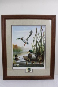Leo Stans Autumn Air Mallard Limited Edition Framed Print