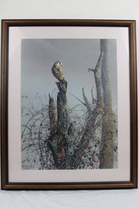 Zoellinck Owl Print 19362500 Framed
