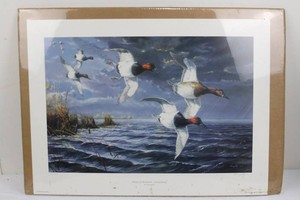 Vintage 1993 Terry Doughty Ahead of the Storm Canvasbacks Signed Print