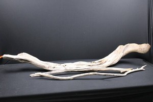 Natural Driftwood Pieces (Lot of 3)