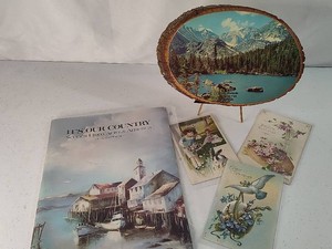 American Scenes Book, Vintage Postcards, Etc...