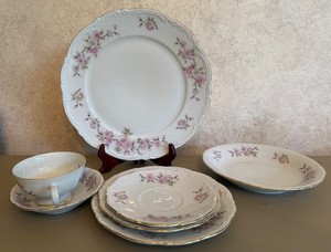 Bavaria Germany Porcelain Springtime China Set
