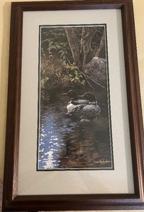 Loon Artwork by Persis Clayton Weirs Framed by Wild Wings