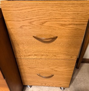 File Cabinet Rolling with Cards and Desk Item Lot