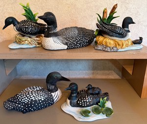 LOT of Six Loons