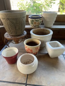 Elephant Ear Garden Pot and Miscellanous Pots lot of 8