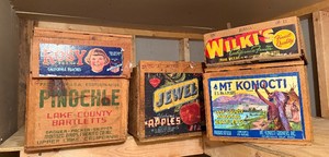 Five Vintage Antique Wood Crates with Vibrant Paper Labels