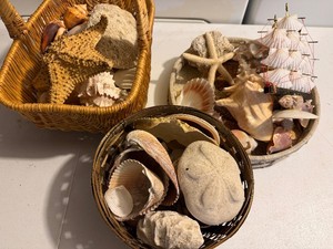 Large Lot of Seshell Shell Decor