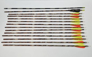 Nice Group of EASTON HuntingArchery Arrows