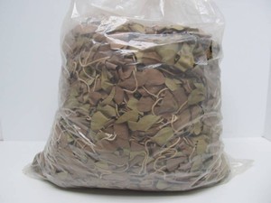 LARGE Unused Military Camo Netting