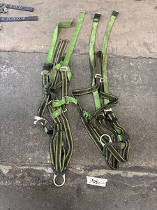 Pair of safety harness