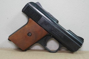 Raven Arms MP-25 .25 ACP Semi-Auto Pistol