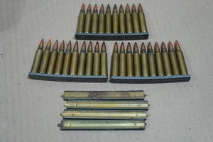 10-Round Stripper Clips with .223 Rem Ammo