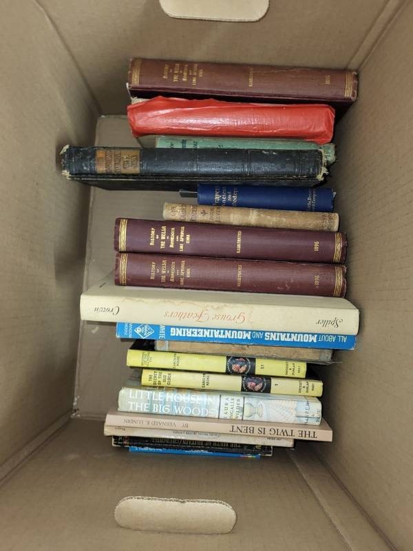 Antique & Vintage Book Lot - 1895 History of Welsh in Minnesota, Nancy Drew, Little House