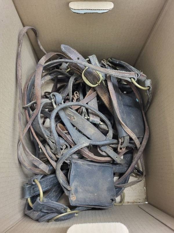 Vintage Leather Horse Tack Lot Halters Bridles Brass Name Plates